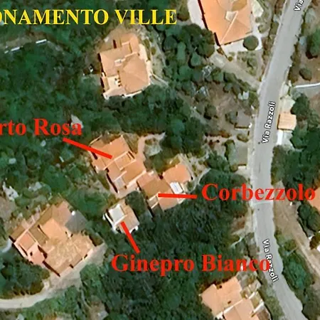 Razzoli Apartment